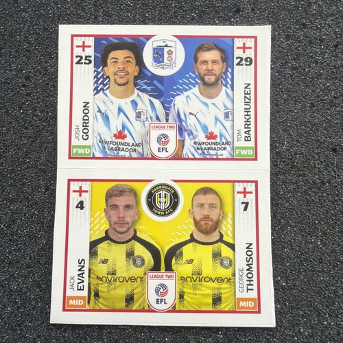 Panini efl 2025 707b - panini, #