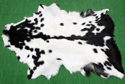 Luxury goat hide rug - hide,