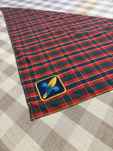 Vintage webelos cub scouts - vintage,