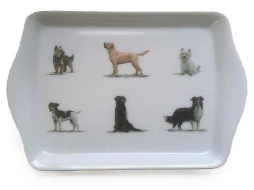 Small snack tray man best - snack, tray,