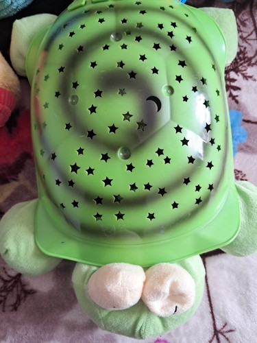 Cute green turtle - cute,