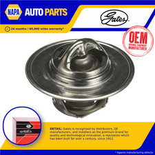 Coolant Thermostat fits