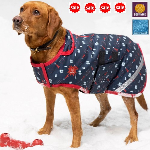 Waterproof dog coat digby - waterproof,