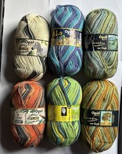 600g Opal 4ply Wool Nylon Sock Yarn Rainforest Van Gogh