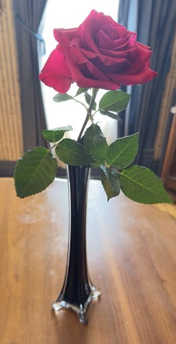 Elegant eiffel tower flower - tower,