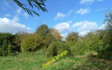 Photo 6x4 Willow archway Red
