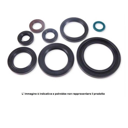 Centauro series oil seal - series,