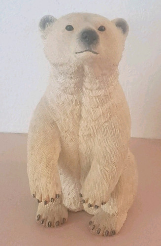Country artists polar bear - artists,