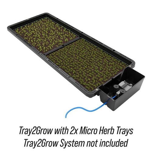 Tray2grow planter - tray2grow,