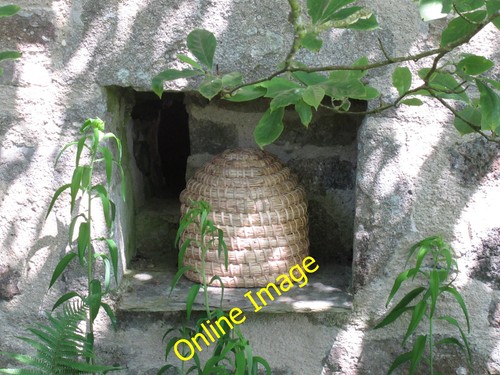 Photo 12x8 bee - photo, skep
