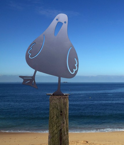 Seagull gull seaside - sea, bird