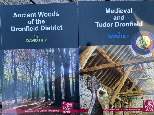 Ancient woods dronfield - ancient,