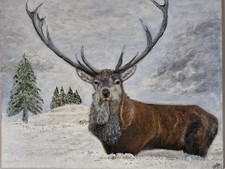 Highland Stag 'PRIDE OF