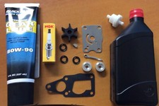 Annual SERVICE KIT + OILS 4HP