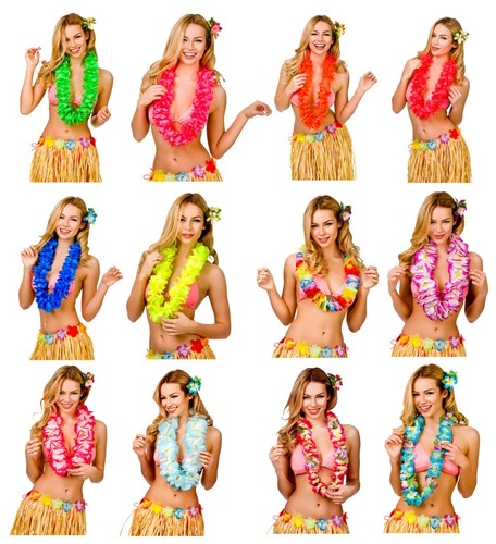 Hawaiian lei hula flower - hawaiian,