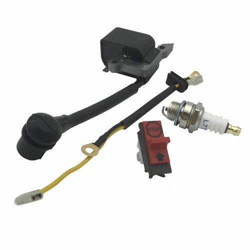Spark plug ignition coil for - ignition,