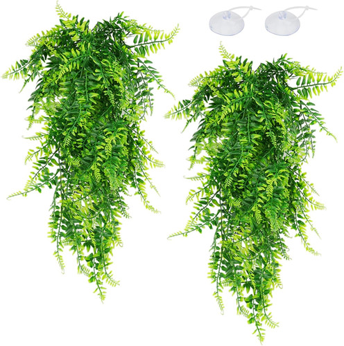 Pack reptile plants - 2,