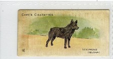 (Gd5542) Cope, Dogs o/t World, (Scandinavian) #26 Schipperke (Belgium) 1912 G-VG