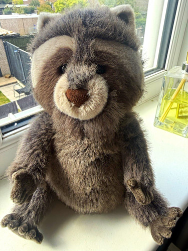 Jellycat trixiwoo raccoon - trixiwoo,