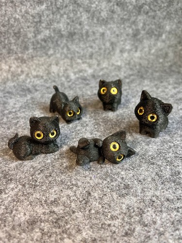 Set black kittens - of,