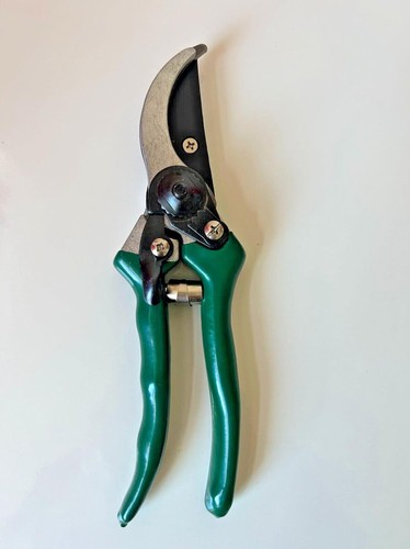 Pruner pruning secateurs - pruner,