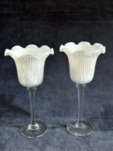 Vintage white tulip lotus long - white,