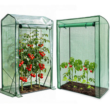 Garden tomato plant growbag - garden,