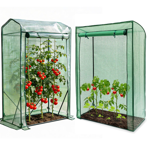Garden tomato plant - garden, growbag