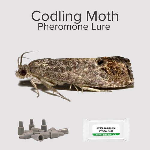 Codling moth pheromone - x,
