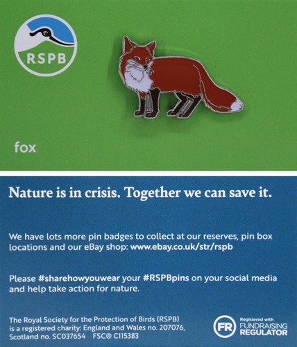 Rspb pin badge niic fox - rspb,