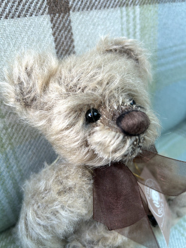 Charlie bear minimo - charlie,