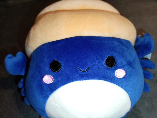Squishmallows lenore 5 - squishmallows,