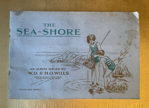Vintage aged seashore - vintage,