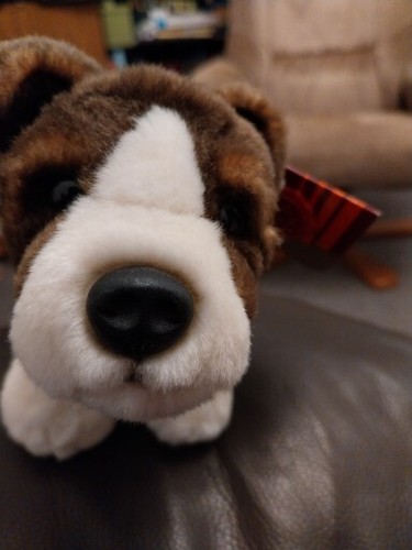 Keel toys dog - toys,