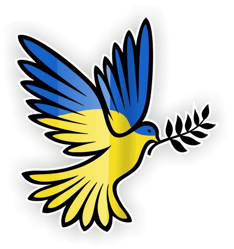 Beautiful peace dove - of,