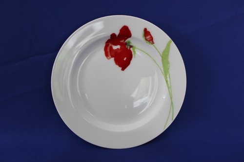 Aynsley meadow poppy - ",