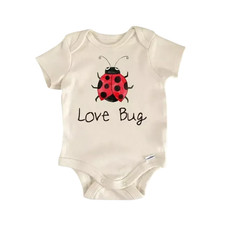 Ladybug Insect Love Bug