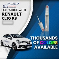 Renault Clio 200 220T Raider RS 369 BLANC GLACIER NEEDLE Paint