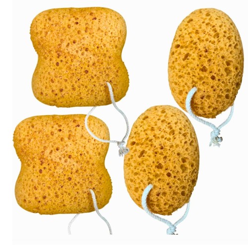 Pack sea sponge set - sponge, bath