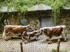 Britains Farm Cow, Bull and Calf Customised Breed Irish Moiled, 1:32 Scale