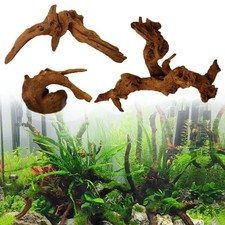 Aquarium Natural Tree Trunk