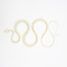 Chinese Rat Snake Full