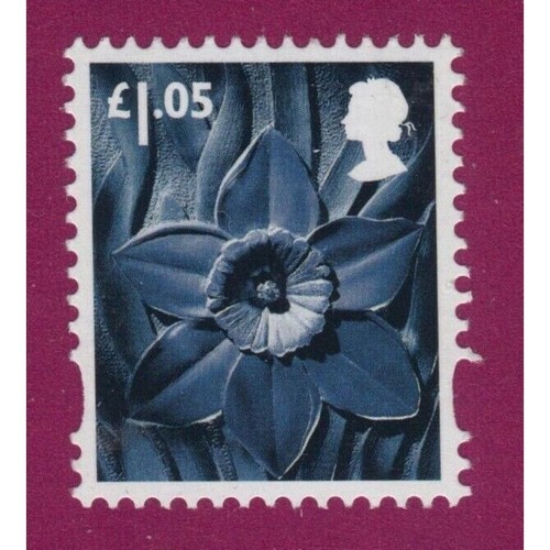W128 daffodil wales - w128, ~