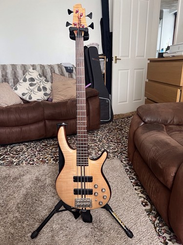 Cort artisan plus fmmh bass - plus,
