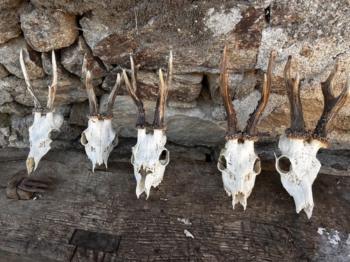 Set antique style deer - set, antique-style