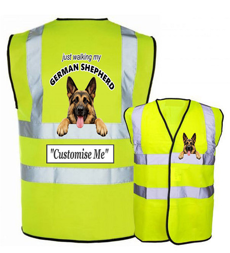 German shepherd walking - walking, hi