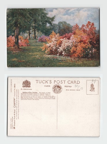 Postcard kew gardens - postcard,