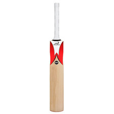 Woodworm cricket fireworm - woodworm,