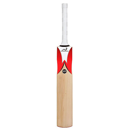 Woodworm cricket fireworm - woodworm,