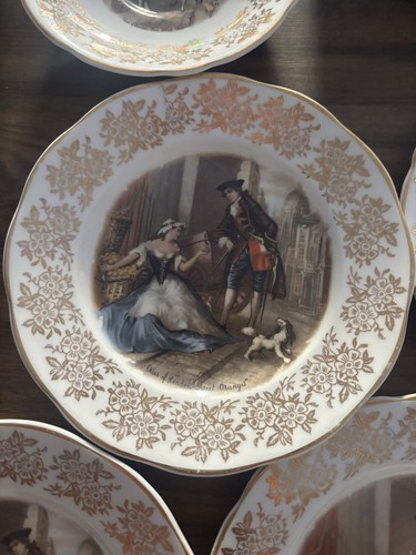 Bone china tea cup saucer - bone,